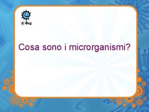 Cosa sono i microrganismi I microbi I microbi