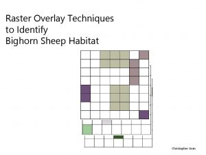 Raster Overlay Techniques to Identify Bighorn Sheep Habitat