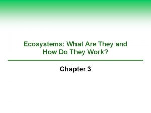 Ecosystems What Are They and How Do They