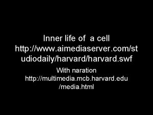 Inner life of a cell http www aimediaserver