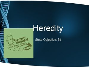 Heredity State Objective 3 d DNA Deoxyribonucleic acid