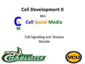 Cell Development II C S M BKA Cell