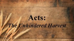 Acts The Unhindered Harvest Acts 6 8 14