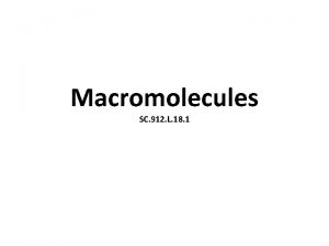 Macromolecules SC 912 L 18 1 Animals breathe