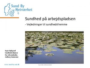 Sundhed p arbejdspladsen Vejledninger til sundhedsfremme Inger Kjelgaard