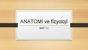 ANATOM ve fzyoloj BMET 111 NSAN VCUDUNUN ANATOMS