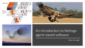 An introduction to Netlogo agentbased software Brian Dermody