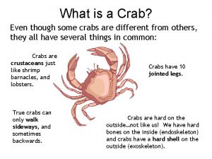 What is a Crab Even though some crabs