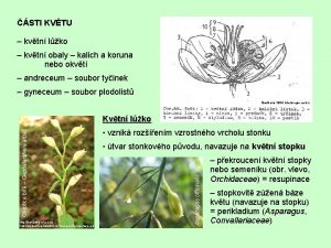 STI KVTU kvtn lko kvtn obaly kalich a