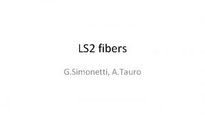 LS 2 fibers G Simonetti A Tauro Recap