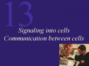 13 Signaling into cells Communication between cells 13