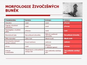 MORFOLOGIE IVOINCH BUNK Charakteristika Bacteria Archaea Eukarya Obal