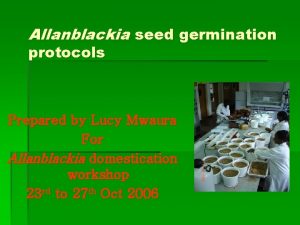 Allanblackia seed germination protocols Prepared by Lucy Mwaura