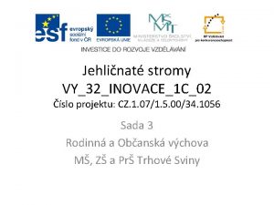 Jehlinat stromy VY32INOVACE1 C02 slo projektu CZ 1