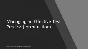 Managing an Effective Test Process Introduction Amadori Course