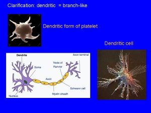 Clarification dendritic branchlike Dendritic form of platelet Dendritic