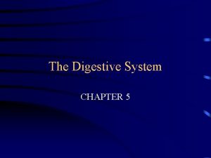 The Digestive System CHAPTER 5 FUNCTION INGEST FOOD