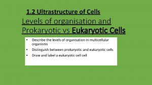 1 2 Ultrastructure of Cells Levels of organisation