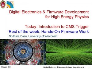 Digital Electronics Firmware Development for High Energy Physics