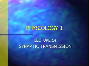 PHYSIOLOGY 1 LECTURE 14 SYNAPTIC TRANSMISSION SYNAPTIC TRANSMISSION