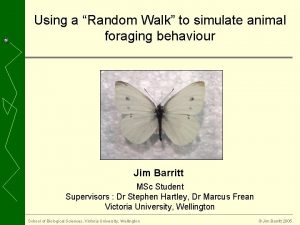 Using a Random Walk to simulate animal foraging