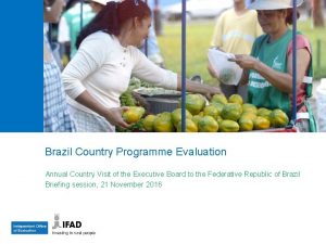 Brazil Country Programme Evaluation Annual Country Visit of