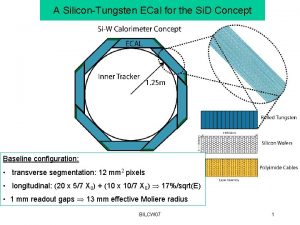 A SiliconTungsten ECal for the Si D Concept