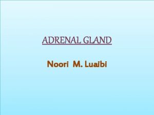 ADRENAL GLAND Noori M Luaibi ADRENOCORTICAL HORMONES The