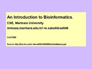 An Introduction to Bioinformatics CSE Marmara University mimoza