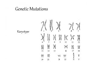 Genetic Mutations Karyotype Mutations Changes in DNA that