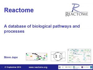 Reactome A database of biological pathways and processes