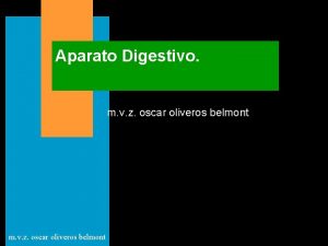 Aparato Digestivo m v z oscar oliveros belmont
