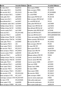 Species Accession Reference Bos taurus PAC 1 BAA