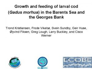 Growth and feeding of larval cod Gadus morhua