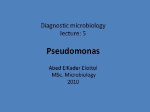 Diagnostic microbiology lecture 5 Pseudomonas Abed El Kader