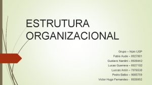 ESTRUTURA ORGANIZACIONAL Grupo Nm USP Fabio Aude 8927001