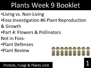 Plants Week 9 Booklet Living vs NonLiving Foss