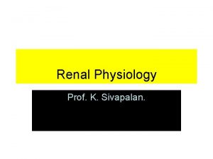 Renal Physiology Prof K Sivapalan Functions of the