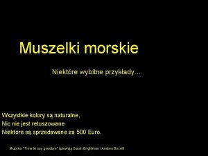 Muszelki morskie Niektre wybitne przykady Wszystkie kolory s