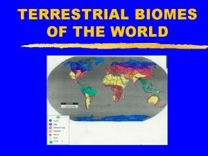 TERRESTRIAL BIOMES OF THE WORLD BIOME Earth A