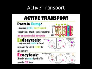 Active Transport 1 ACTIVE TRANSPORT is the B