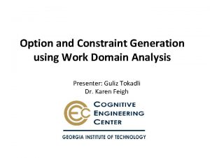 Option and Constraint Generation using Work Domain Analysis