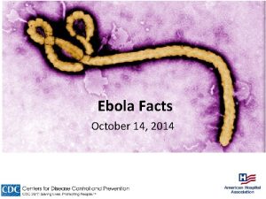 Ebola Facts October 14 2014 Symptoms of Ebola