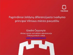 Pagrindiniai eldyn diferencijuoto tvarkymo principai Vilniaus miesto pavyzdiu