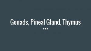 Gonads Pineal Gland Thymus Pineal Gland Location Deep