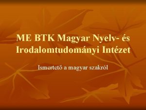 ME BTK Magyar Nyelv s Irodalomtudomnyi Intzet Ismertet