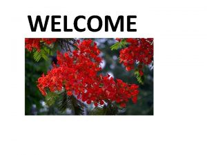 WELCOME Teachers identity Rowshon Ara Asst teacher PDB