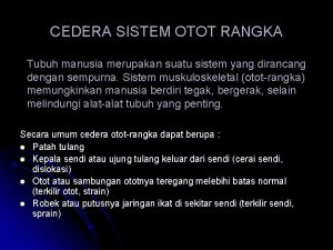 CEDERA SISTEM OTOT RANGKA Tubuh manusia merupakan suatu