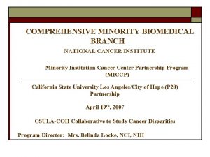 COMPREHENSIVE MINORITY BIOMEDICAL BRANCH NATIONAL CANCER INSTITUTE Minority