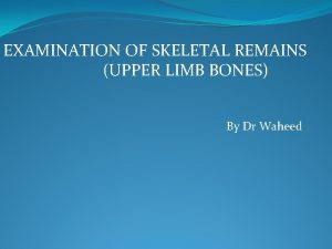 EXAMINATION OF SKELETAL REMAINS UPPER LIMB BONES By